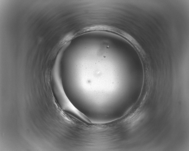 X0000081620857200701151429