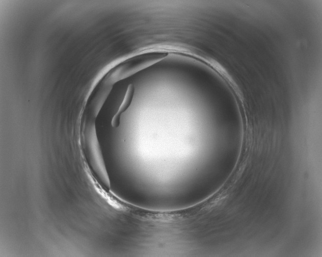 X0000081620862200701151430