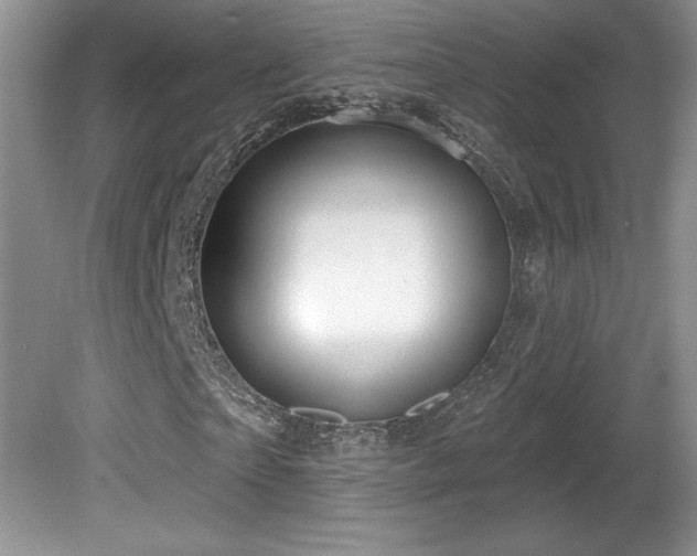 X0000081620865200701151429