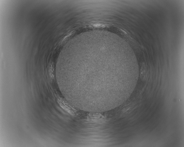 X0000081620866200701151429
