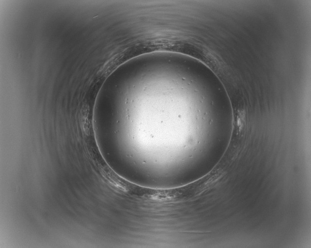 X0000081620867200701151429