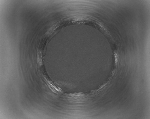 X0000081620868200701151429