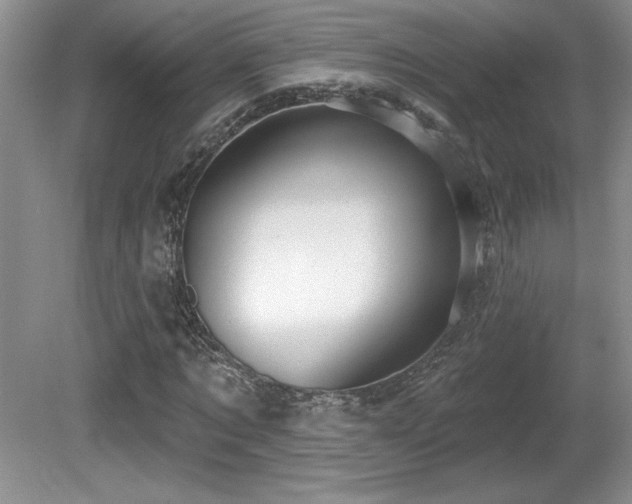 X0000081620869200701151429