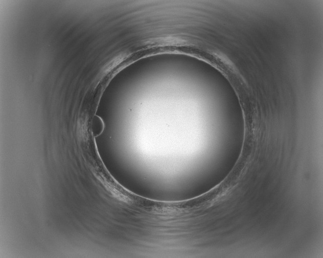 X0000081620873200701151429