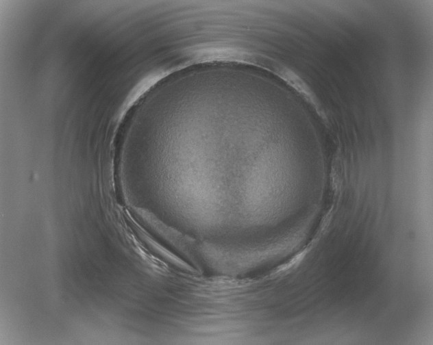 X0000081620877200701151429