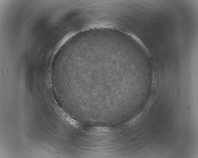 X0000081620878200701151429