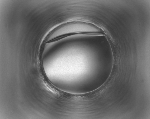 X0000081620880200701151429