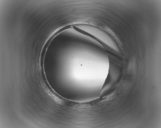 X0000081620884200701151428