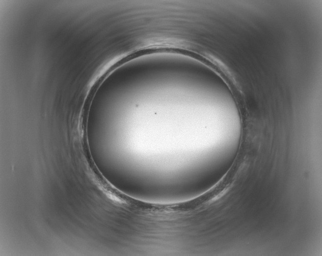 X0000081620885200701151428