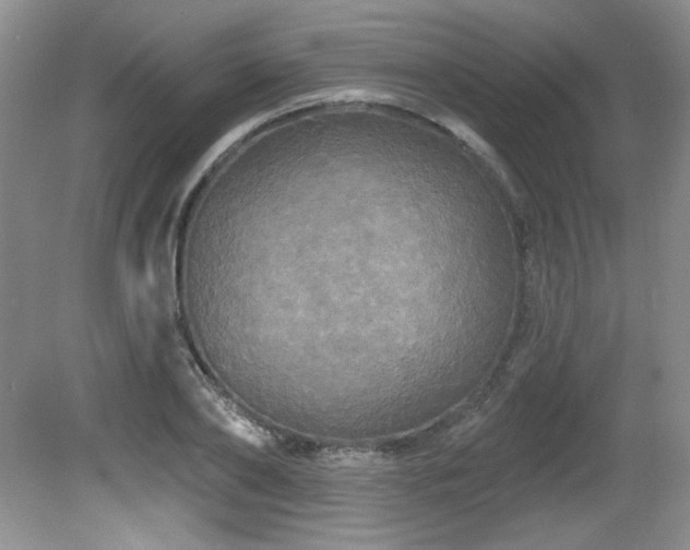 X0000081620886200701151428