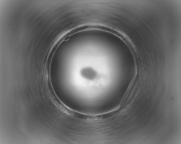 X0000081620887200701151428