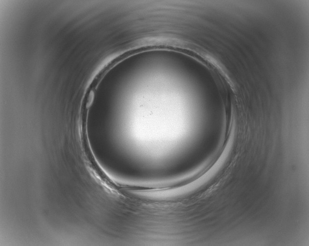 X0000081620888200701151428