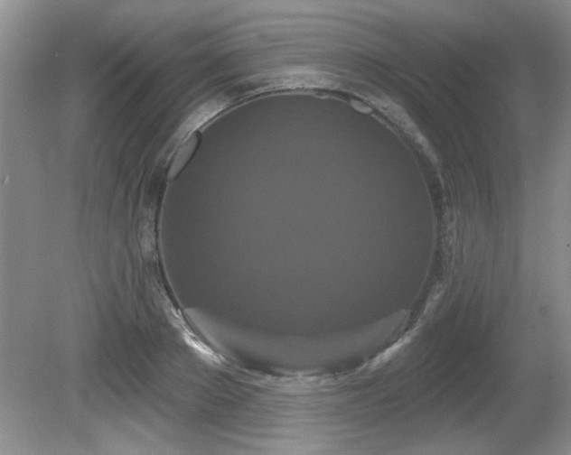 X0000081620889200701151428