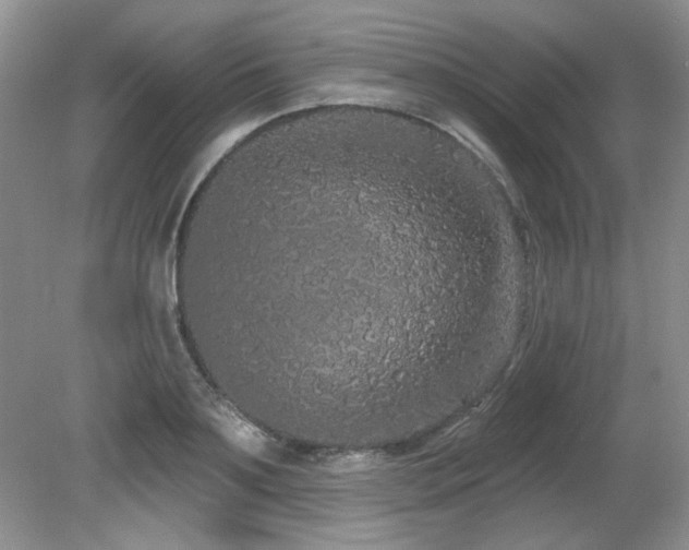 X0000081620891200701151428