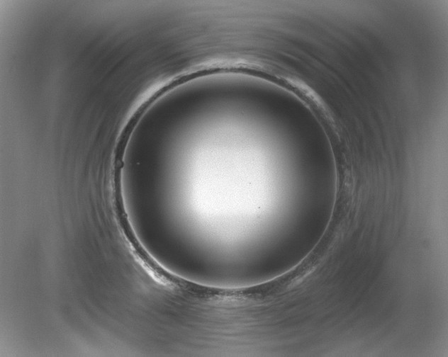 X0000081620894200701151428