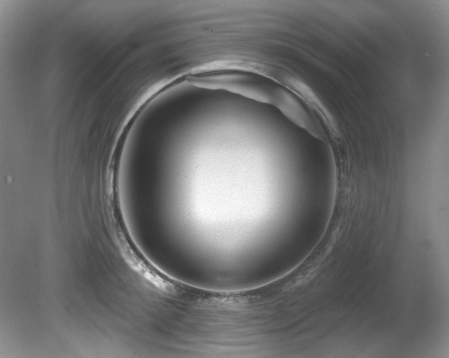 X0000081620900200701151428