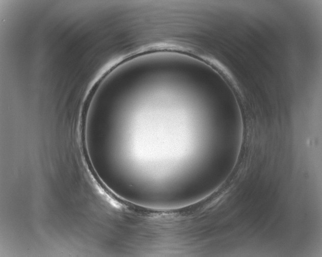 X0000081620902200701151428