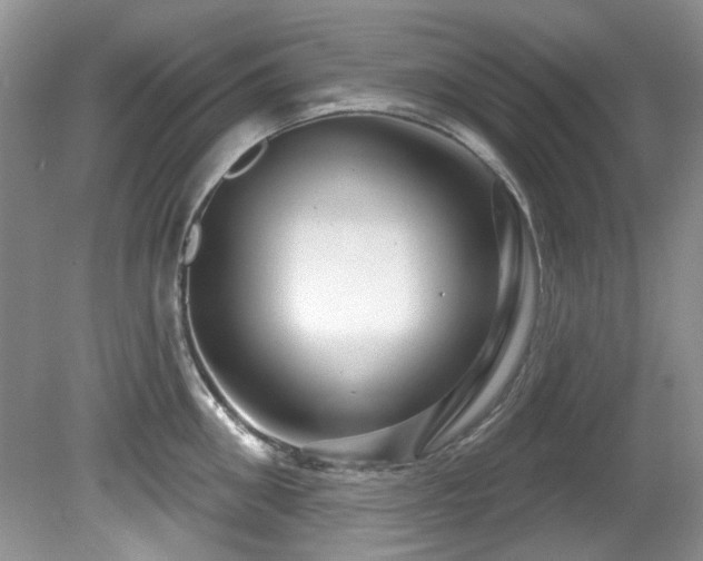 X0000081620906200701151428