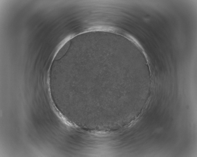 X0000081620907200701151428