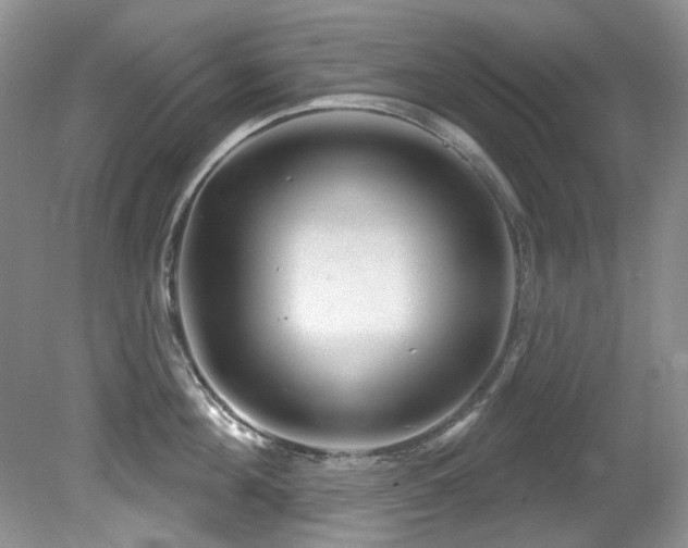 X0000081620908200701151428