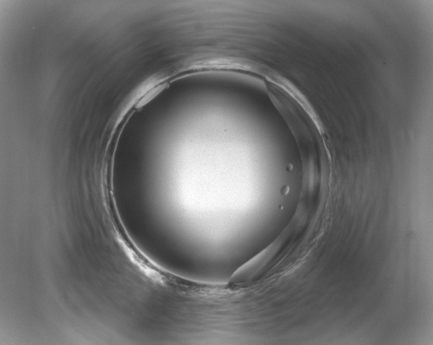 X0000081620909200701151428