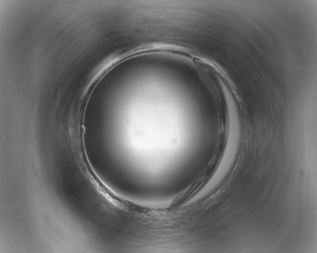 X0000081620910200701151428