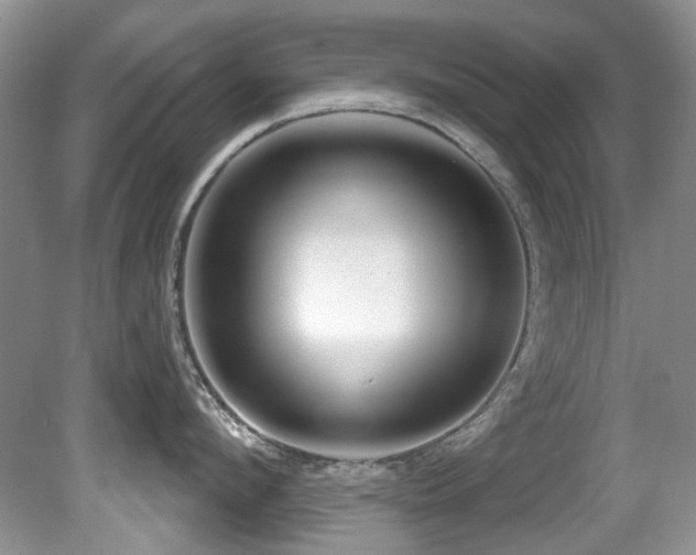 X0000081620912200701151428