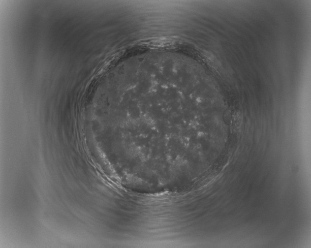 X0000081620913200701151427