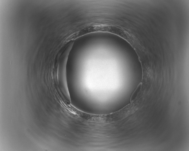 X0000081620914200701151427