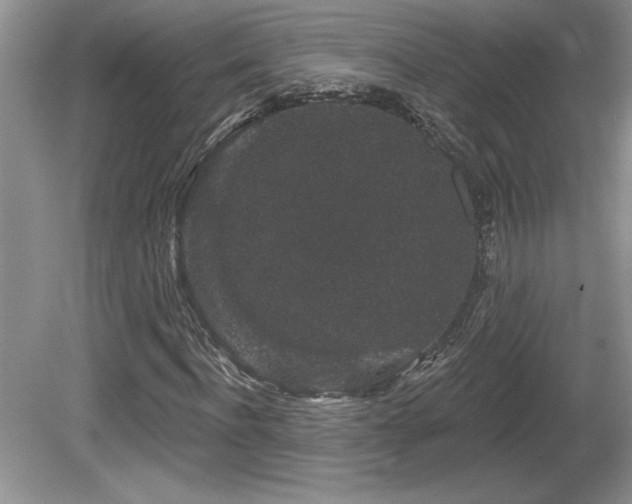 X0000081620916200701151427