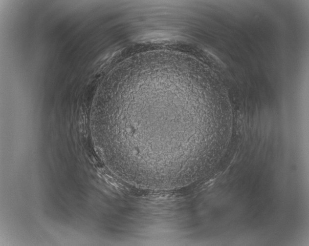 X0000081620917200701151427