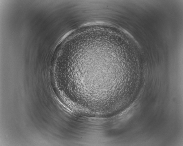 X0000081620921200701151427