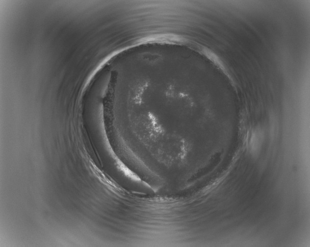 X0000081620923200701151427