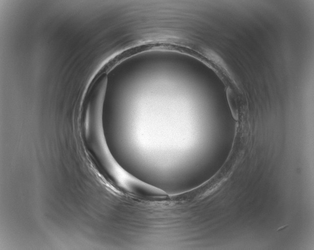 X0000081620924200701151427