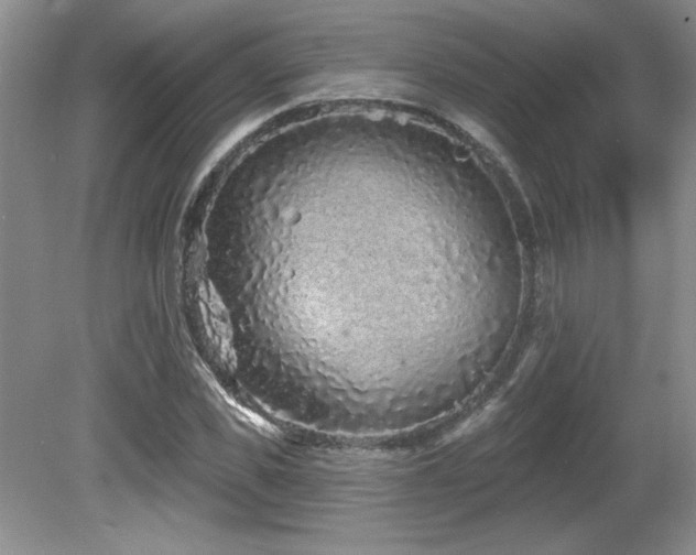 X0000081620925200701151427