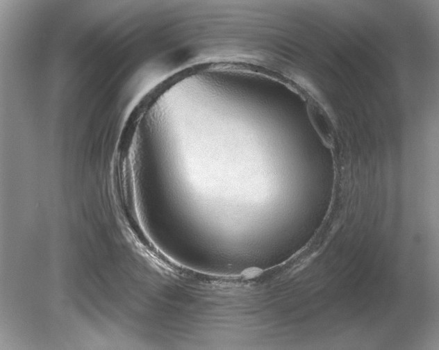 X0000081620928200701151427