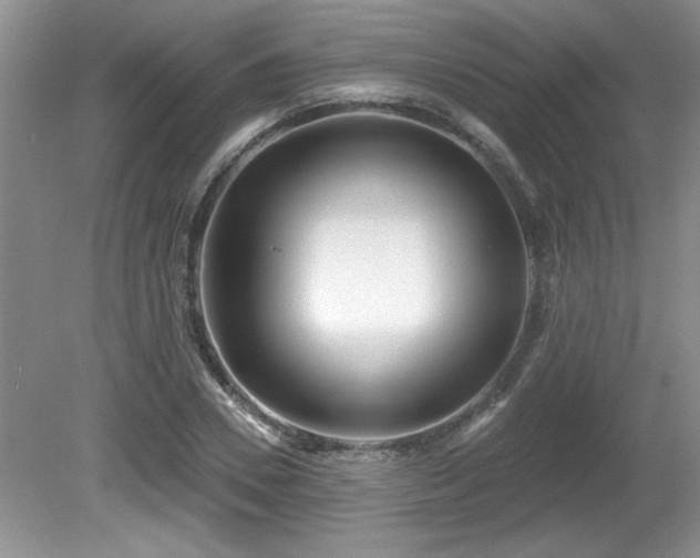 X0000081620930200701151427