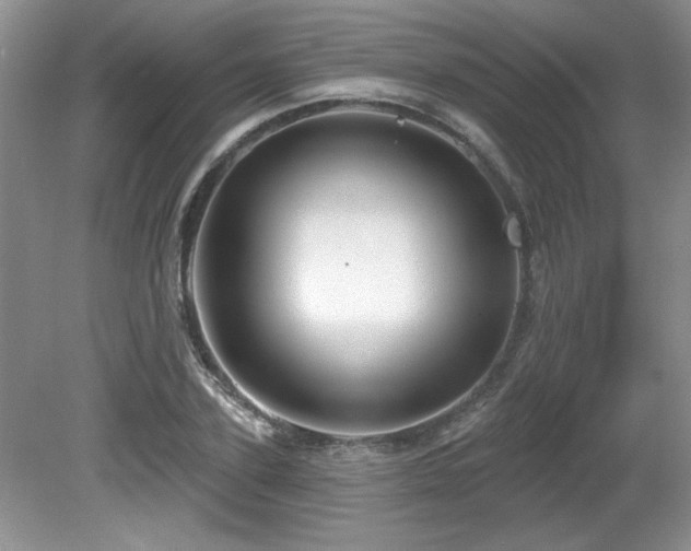 X0000081620931200701151427