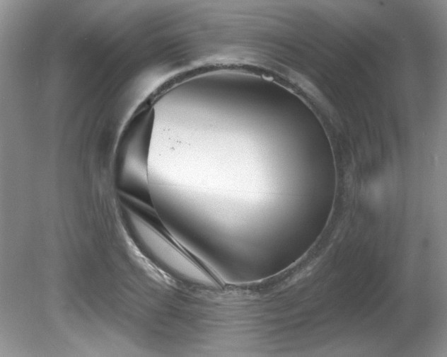 X0000081620934200701151428