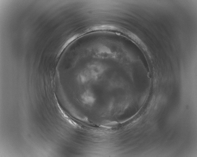 X0000081620945200701151428
