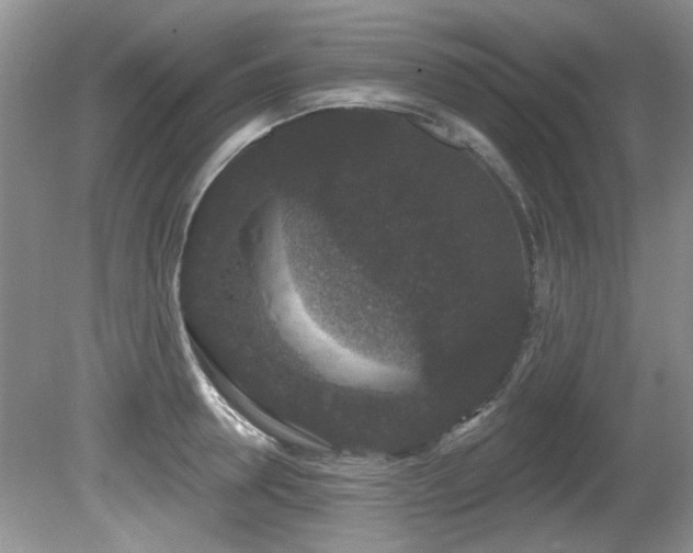 X0000081620946200701151428