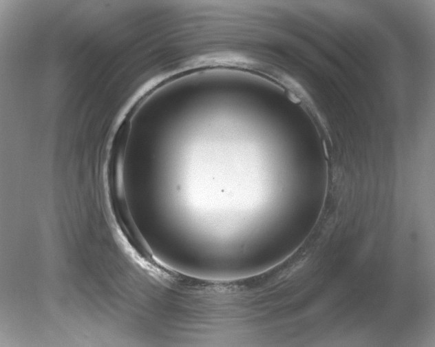 X0000081620947200701151428