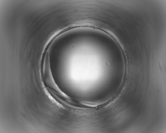 X0000081620949200701151428