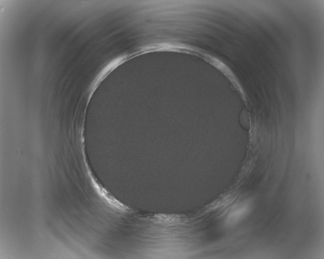 X0000081620954200701151428
