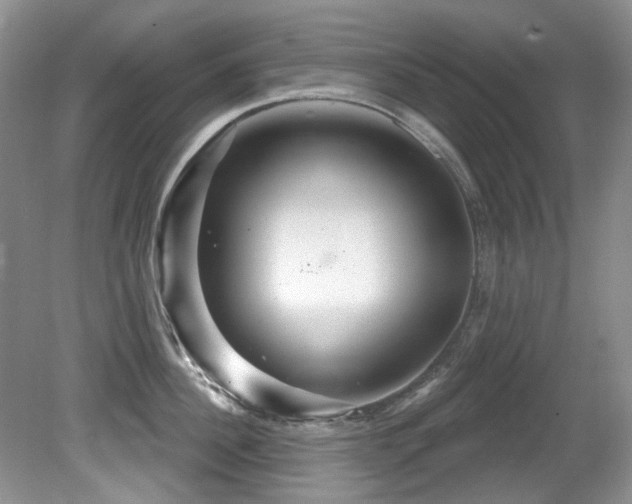 X0000081620956200701151428