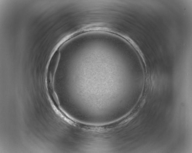 X0000081620957200701151428