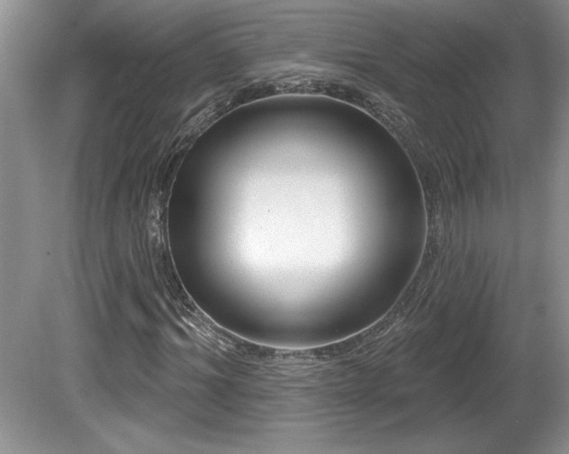 X0000081620964200701151427