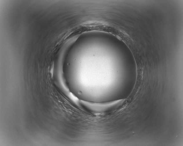 X0000081620965200701151427