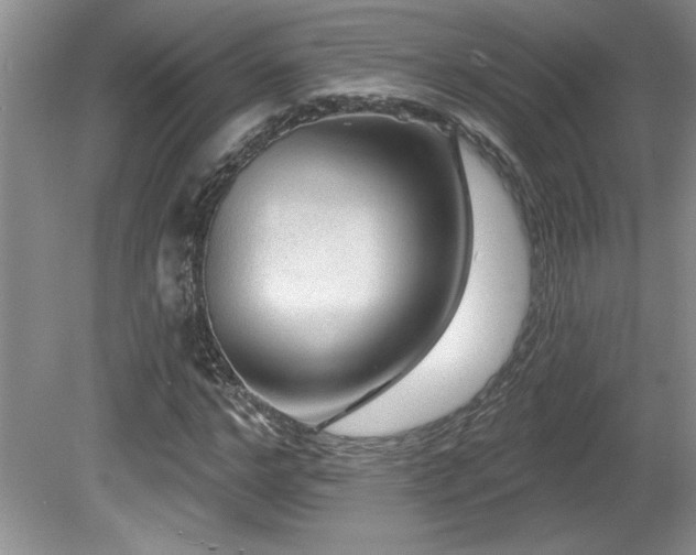 X0000081620968200701151427