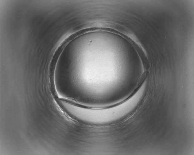 X0000081620972200701151427